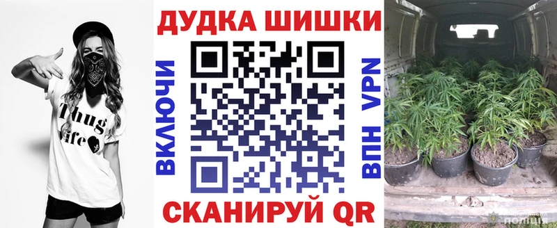 Виды наркоты Аркадак СК Галлюциногенные грибы Гашиш Меф мяу мяу