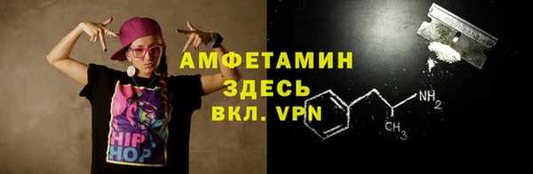 шишки Аркадак