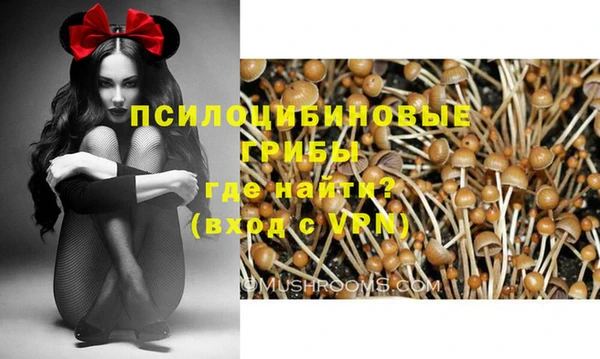 ALPHA-PVP Армянск