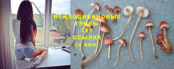 соль ск Арсеньев