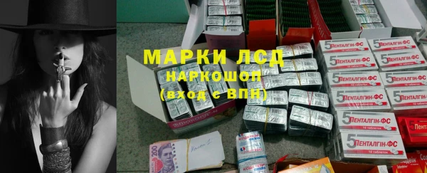 шишки Аркадак