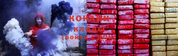 шишки Аркадак