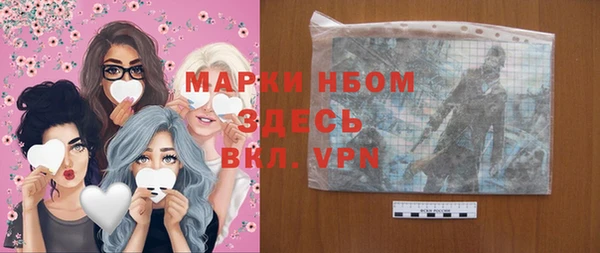 шишки Аркадак