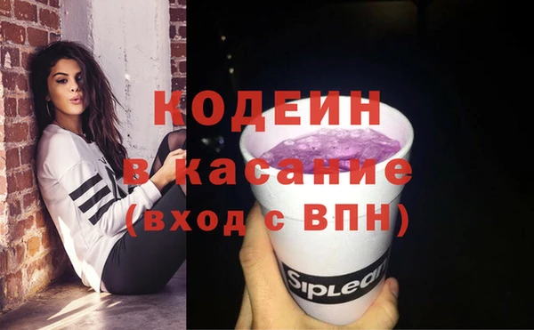 шишки Аркадак