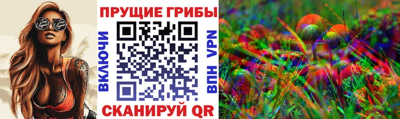 купить  сайты  Аркадак  Галлюциногенные грибы Magic Shrooms 